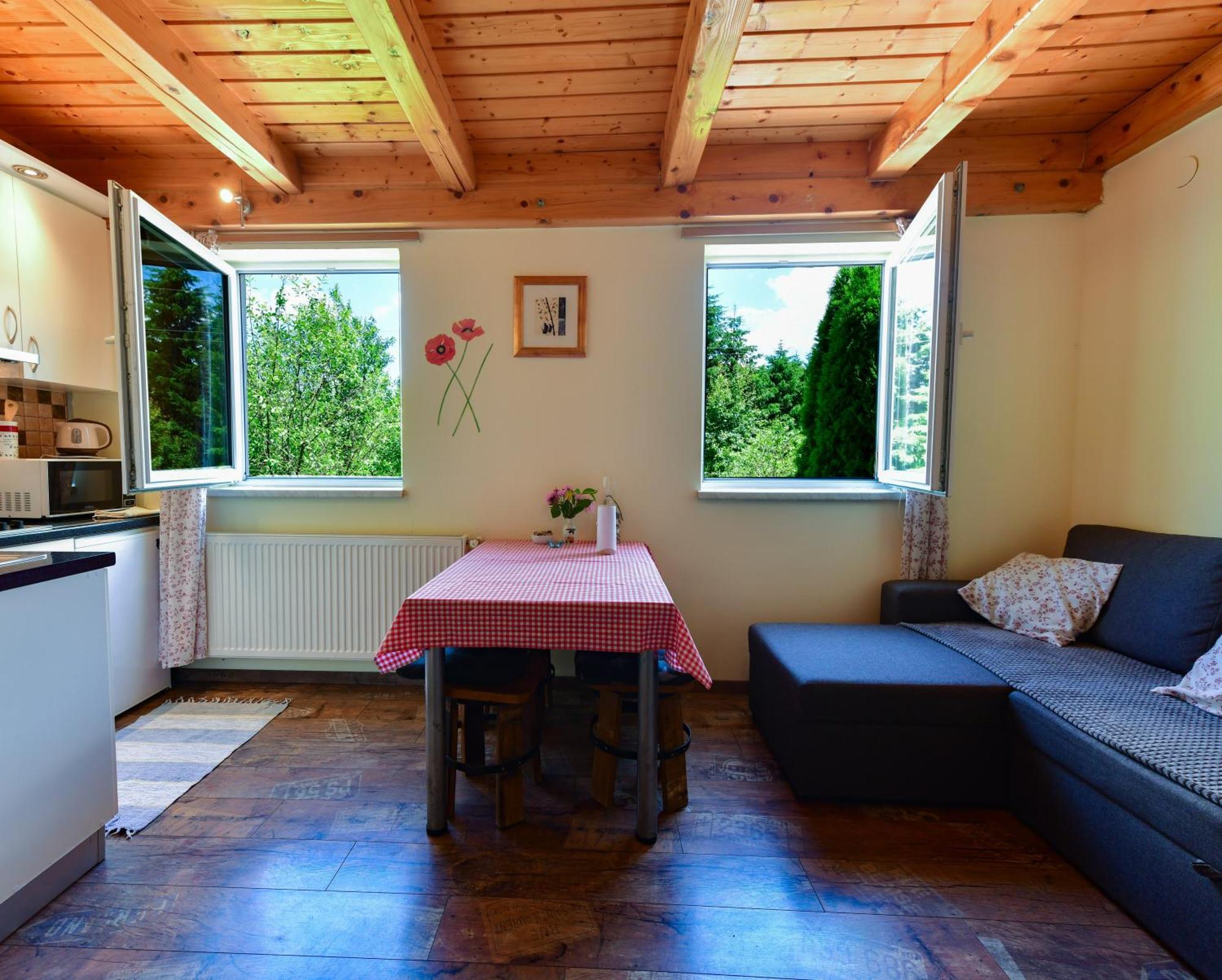 Apartments Marija Rakovica Esterno foto